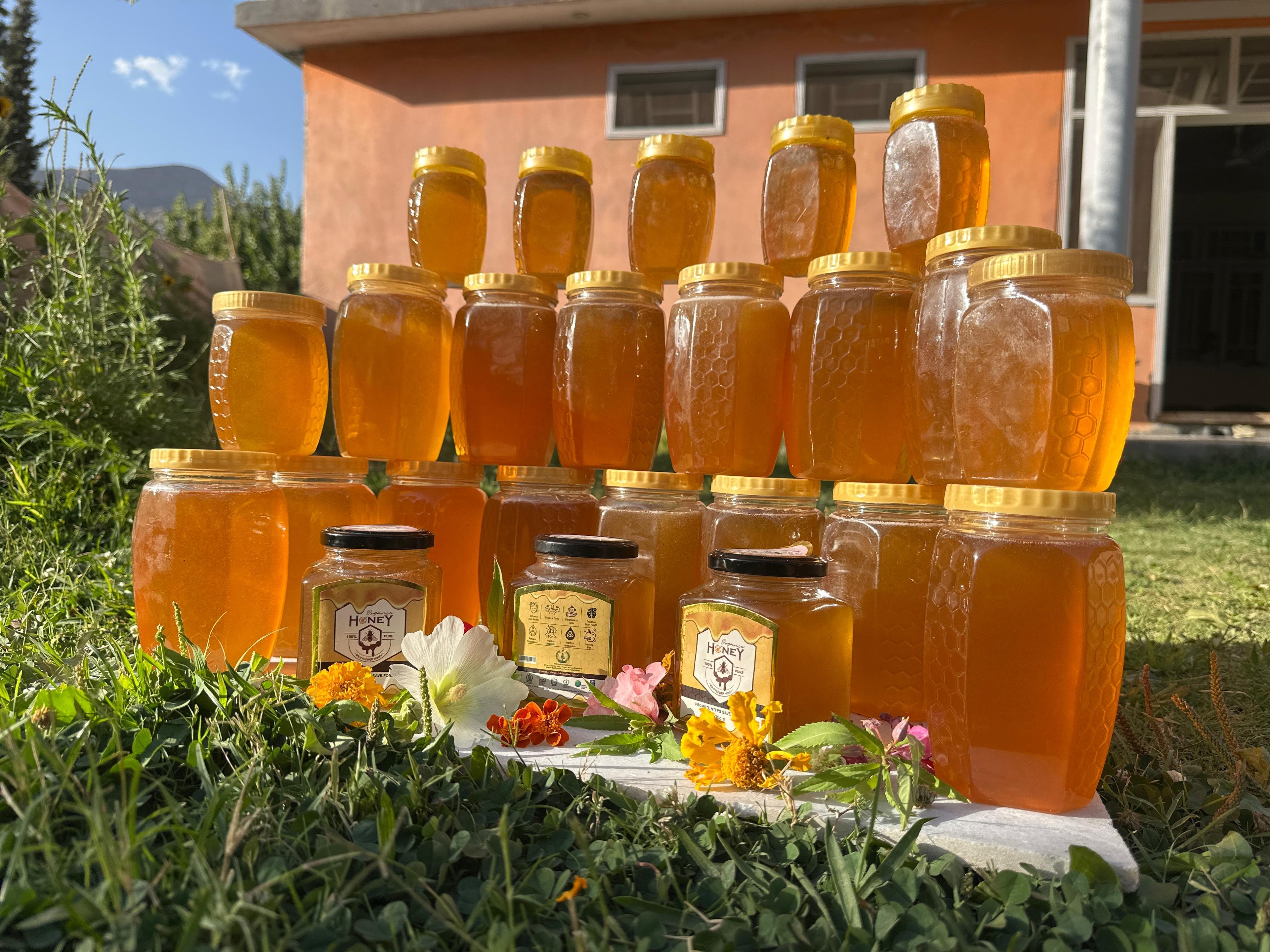 Authuntic Russian Olive Honey