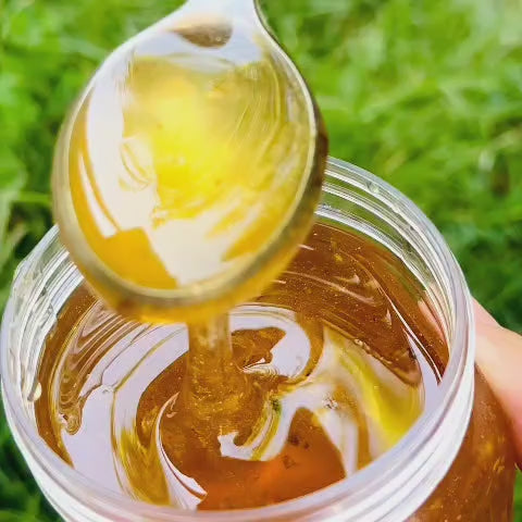 Authuntic Russian Olive Honey